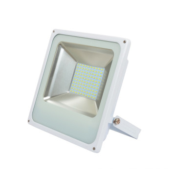 Lumière d'inondation à LED Outdoor Outdoor 50W LED Flood Light sans conducteur (AD-FL50WECO)